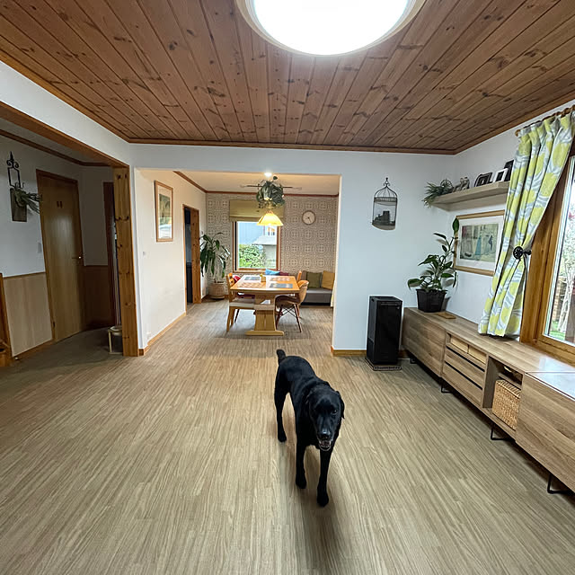 toragenmamさんの部屋