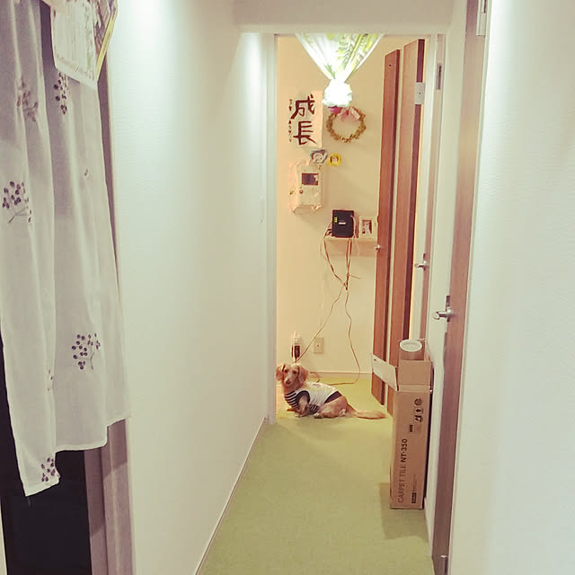 Ayumiさんの実例写真