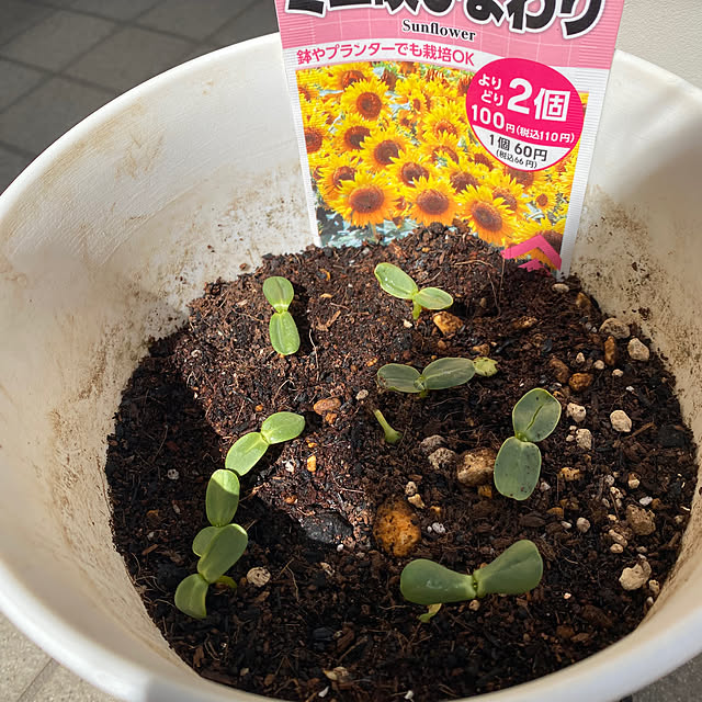 YuuKoさんの部屋