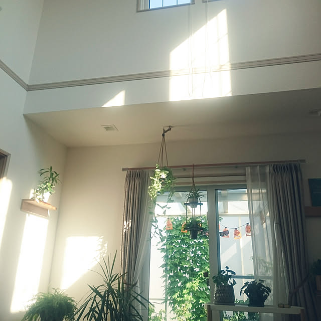 nao525さんの実例写真
