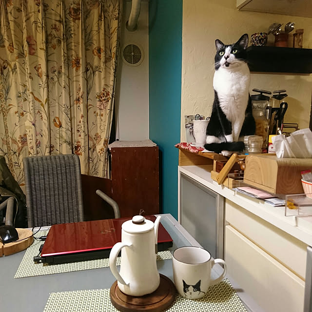 okyosan101さんの実例写真