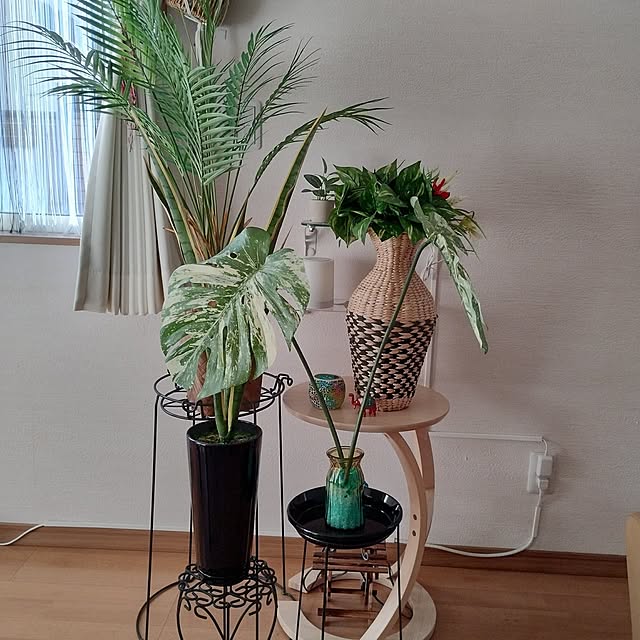 nyankichiさんの実例写真