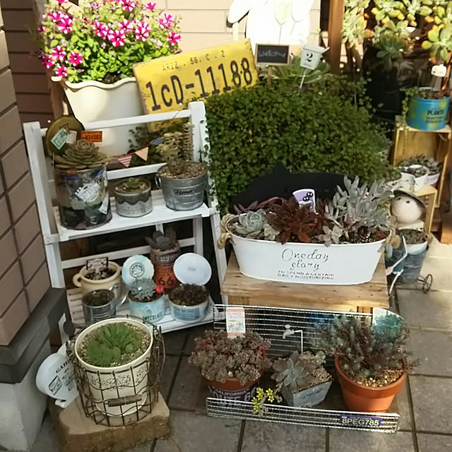 yasue..0503..さんの実例写真