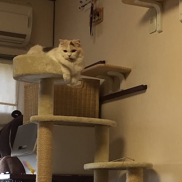 keibooさんの実例写真