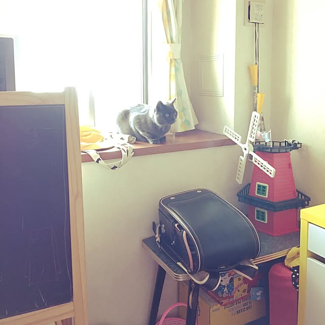 Shojiさんの実例写真