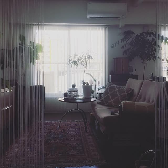 hiloさんの実例写真