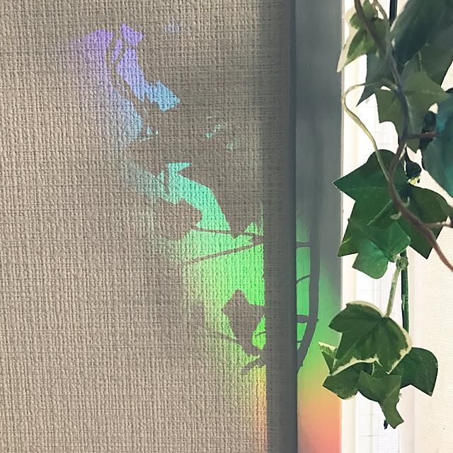 Fumikaさんの実例写真