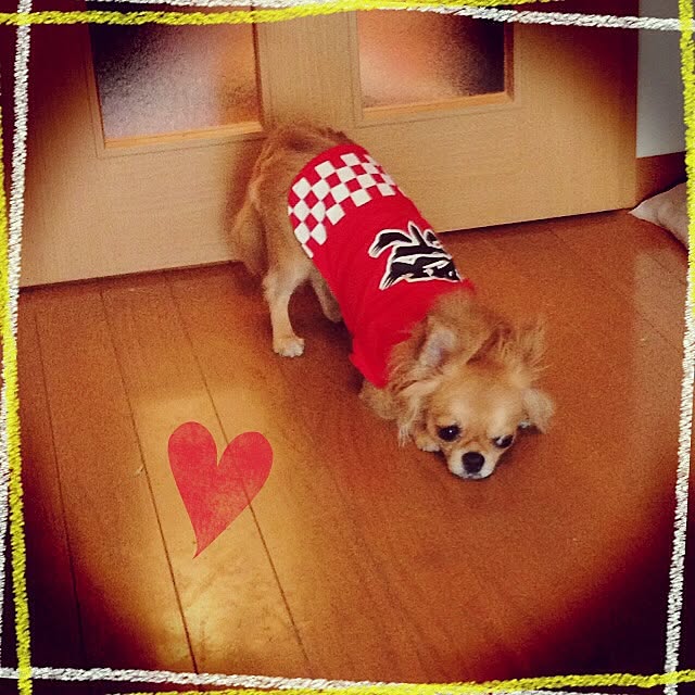 kanaeさんの実例写真