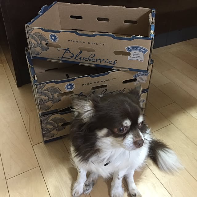 na_chanさんの実例写真
