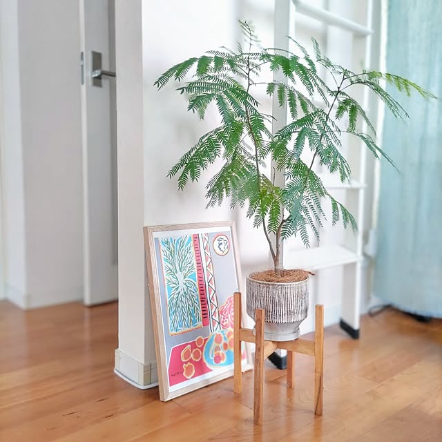 Haさんの部屋