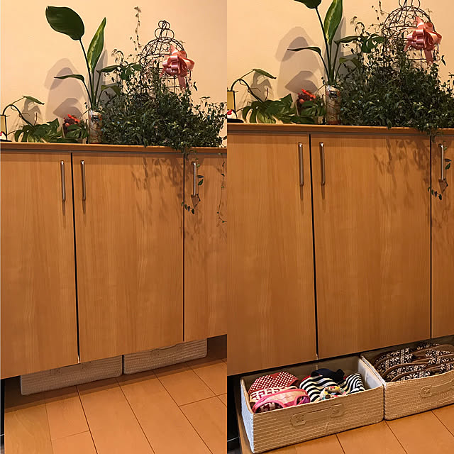halemi213さんの実例写真
