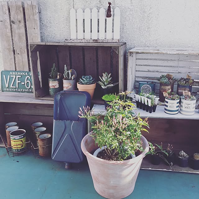 montaさんの実例写真