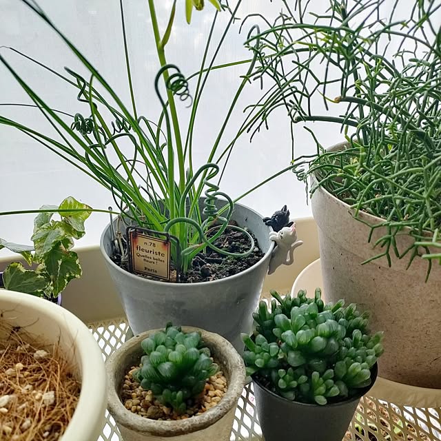 teamoさんの実例写真