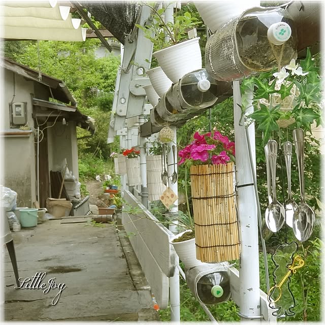 littlejoyさんの実例写真