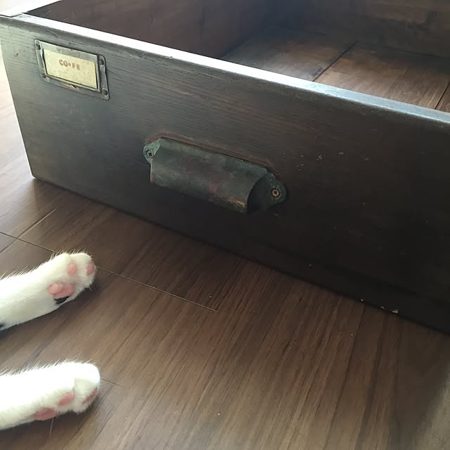 ameko_rcさんの実例写真