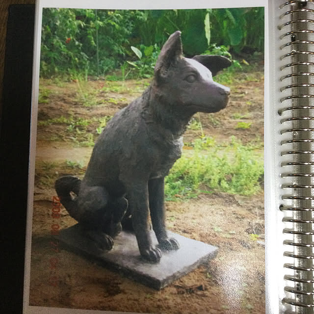 Y.Saさんの実例写真
