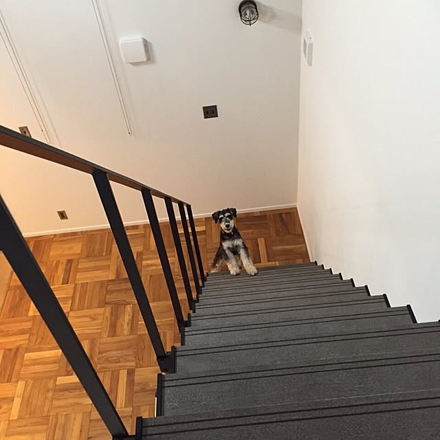 margoandcoさんの実例写真