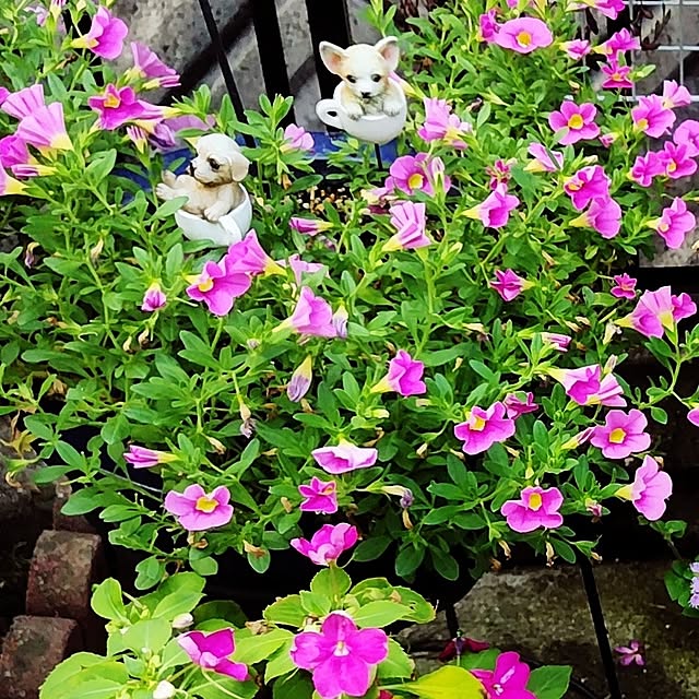 katさんの部屋