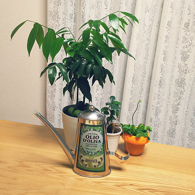 mmpoohさんの実例写真