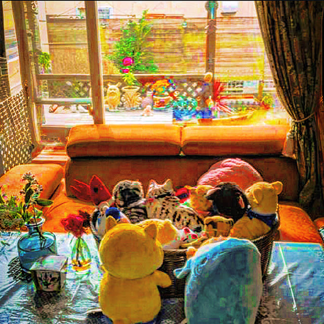 Watanabejunpilさんの部屋