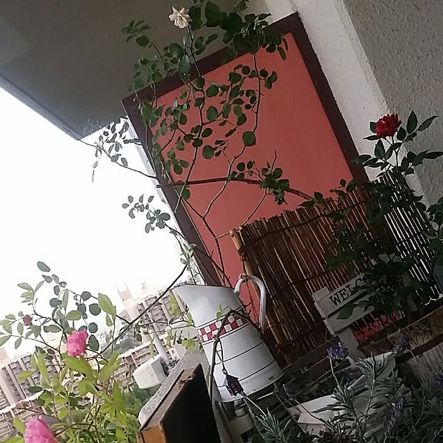 akkomamaさんの実例写真