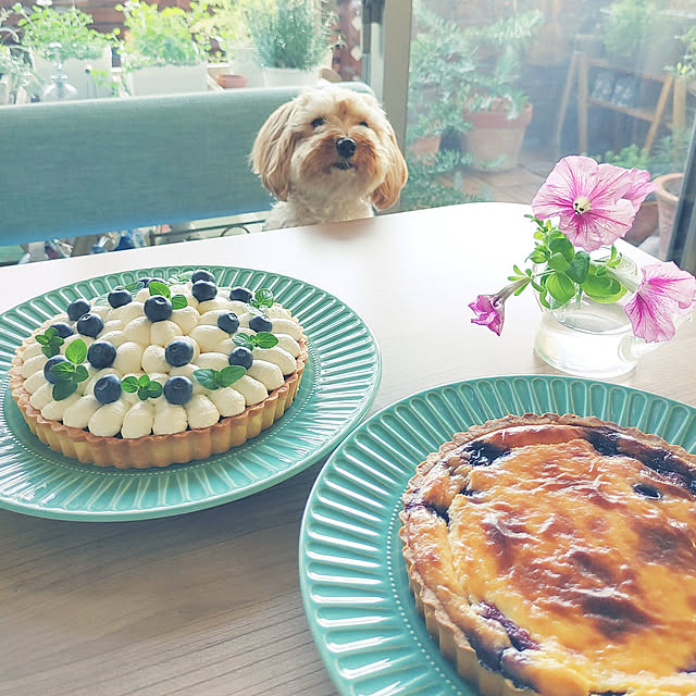 masumixさんの実例写真