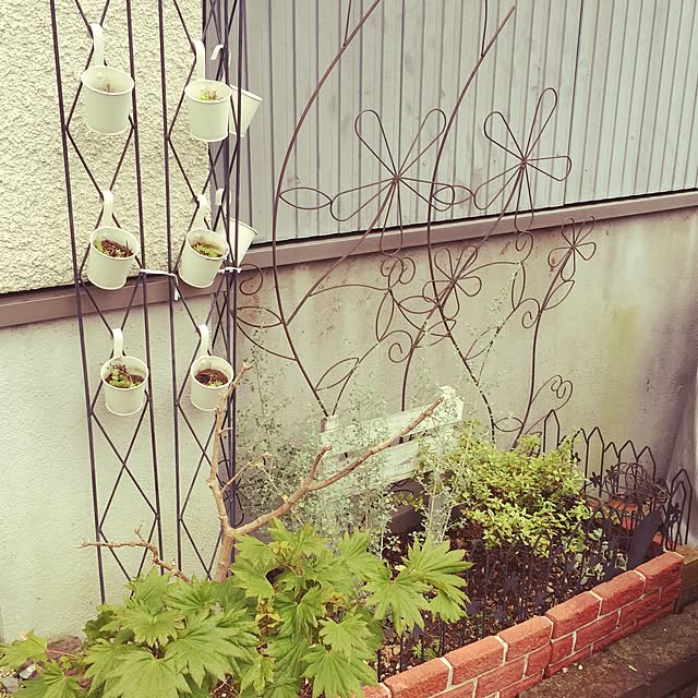 junさんの実例写真