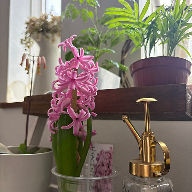 yunroomさんの部屋