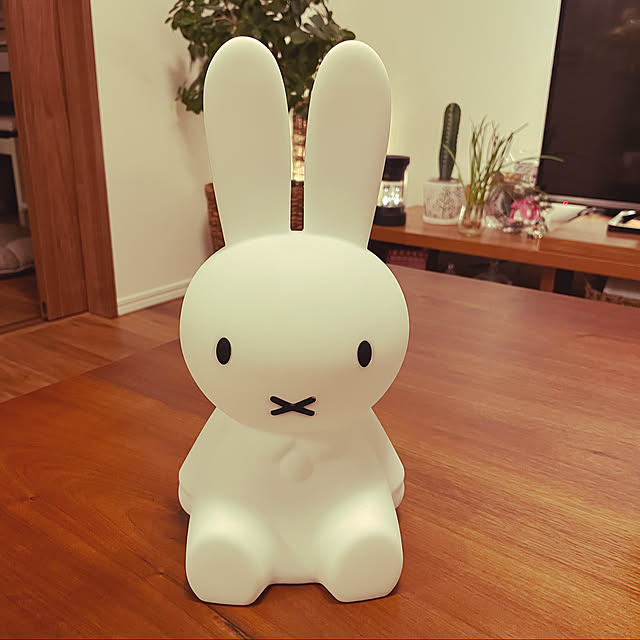 nekoさんの実例写真
