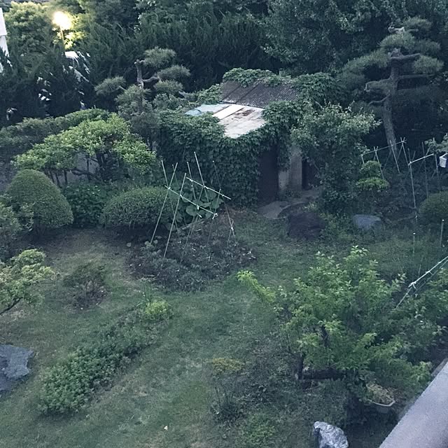 suzyさんの実例写真