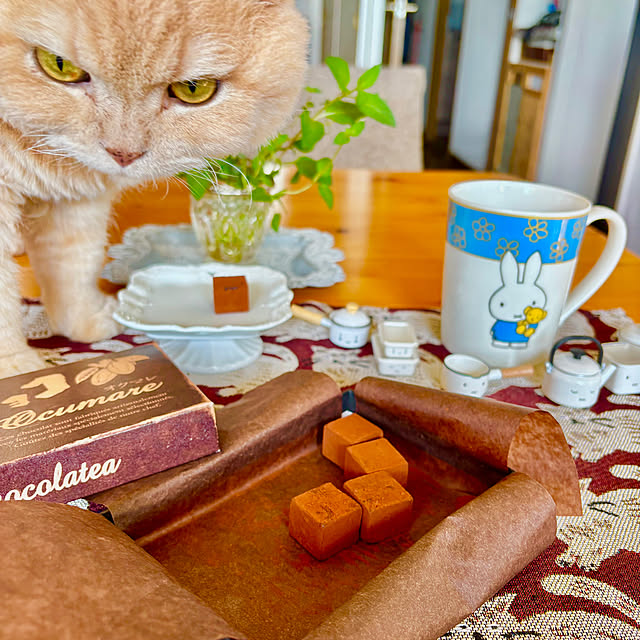 naokoさんの部屋
