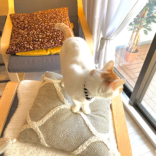 nawokoさんの実例写真