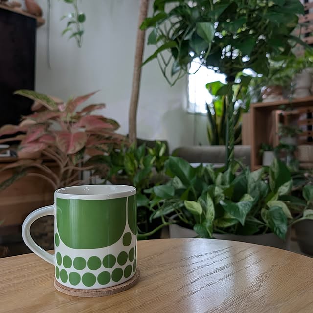 ayamameさんの部屋