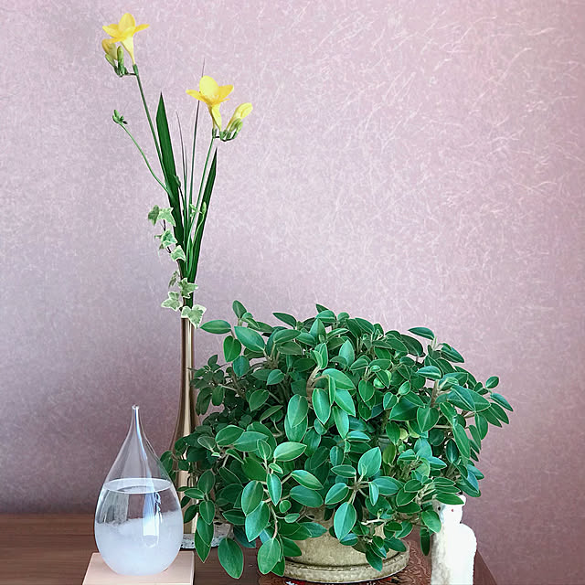 Saraさんの実例写真