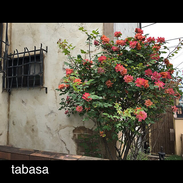 tabasaさんの実例写真