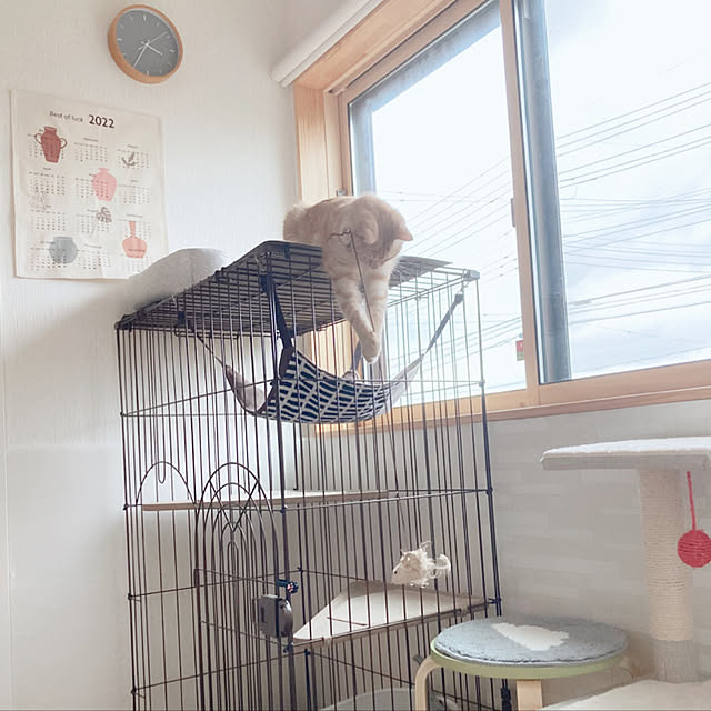 m.k.mさんの実例写真