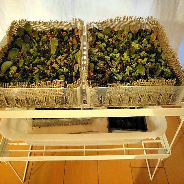 akiak.3さんの部屋