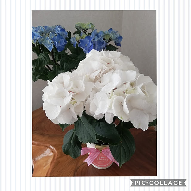 fumitanさんの実例写真