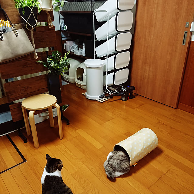nachiさんの実例写真