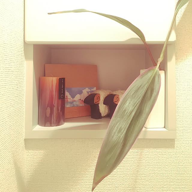 taracoさんの実例写真