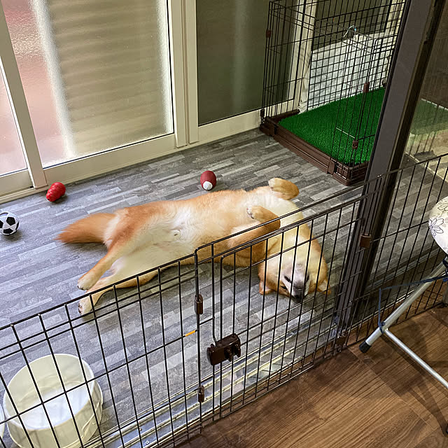 Shokoさんの実例写真