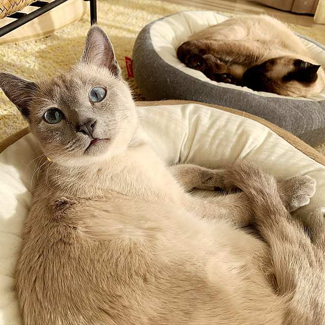 aichinさんの実例写真