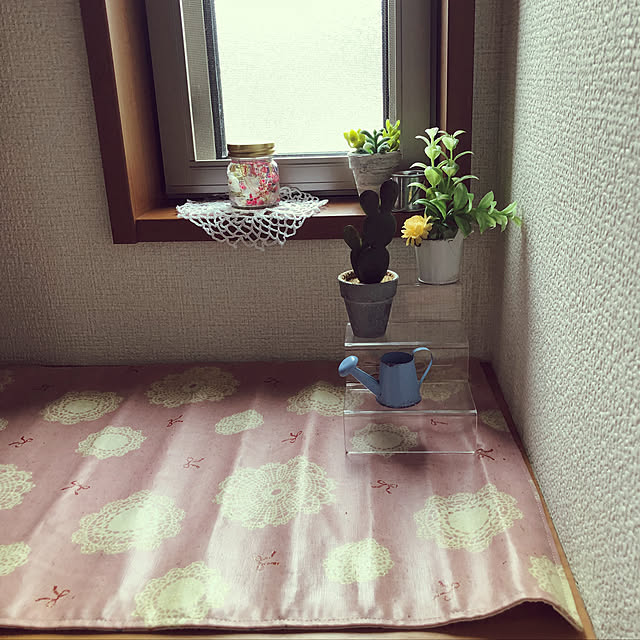 玄関/入り口/セリア/雑貨/多肉植物/観葉植物...などのインテリア実例 - 2018-05-21 07:56:30