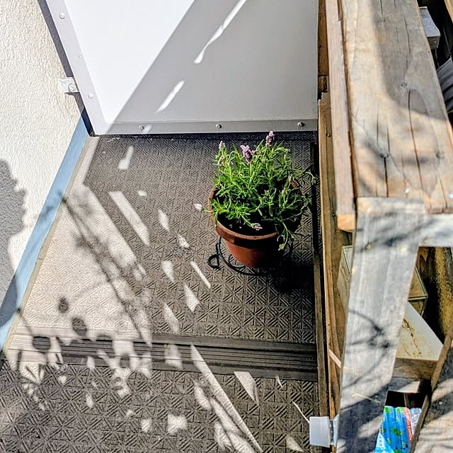 mi-saさんの部屋