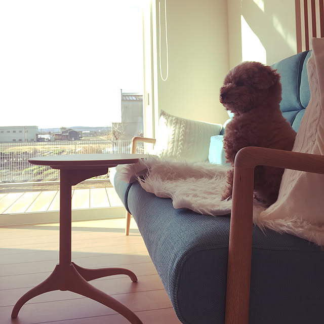 kilala_pさんの実例写真
