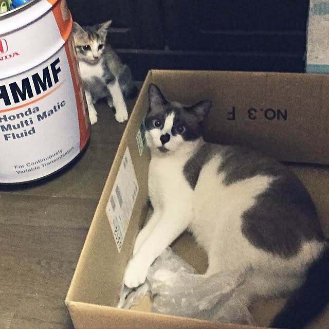 vivienne.coco-keiさんの実例写真