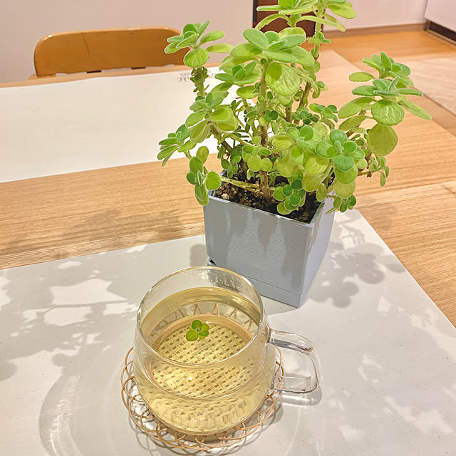 koko_hikaさんの実例写真