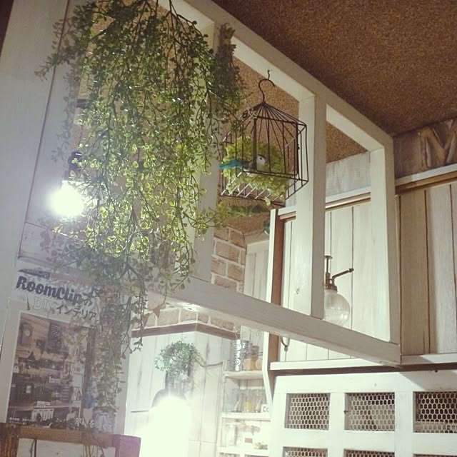 riesanchiさんの実例写真