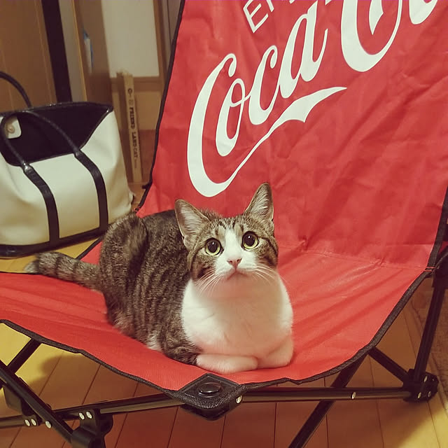 lemoned1126さんの実例写真