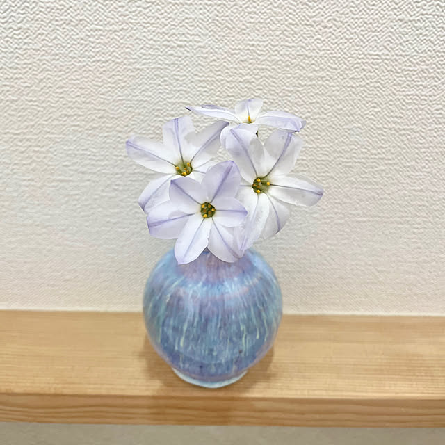 yukiさんの実例写真